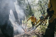 ‘Good Fire: Tending Native Lands’ Burns Bright at OMCA