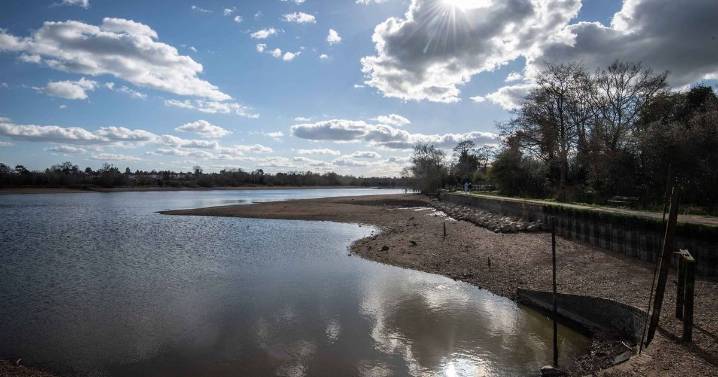 Dog seriously injures Midland park runner