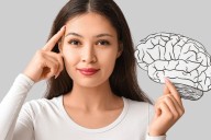 Investigadores descubren los cuatro momentos clave cuando cambia el cerebro:  a los 9, 32, 66 y 83 años esto pasa