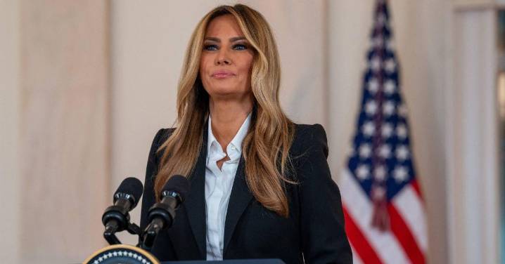 Melania Trump Snapped At Friend Over Husband Donald's 'Small Manhood'