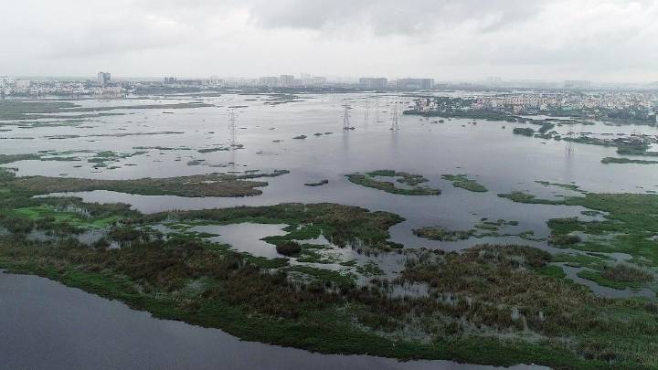 What kind of projects need environmental, coastal or forest clearance in India?