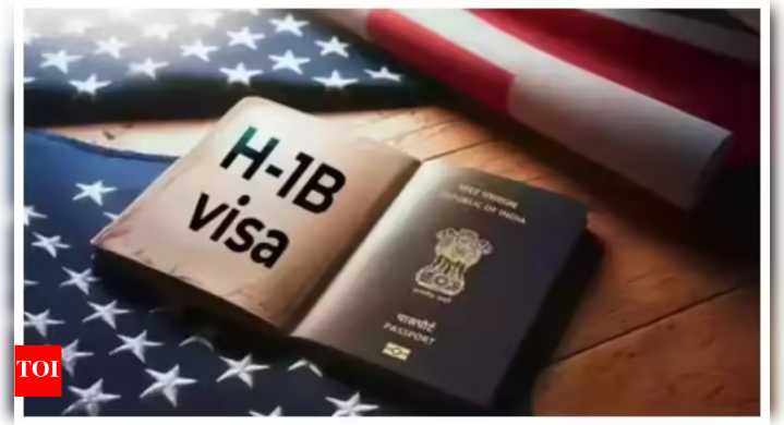 'Uncovered bounty of concerns': Massive US crackdown on H-1B visa abuse — all you need to know