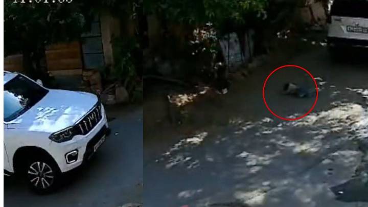 Jodhpur Hit & Run VIDEO: Toddler Playing On Road Crushed To Death By Scorpio