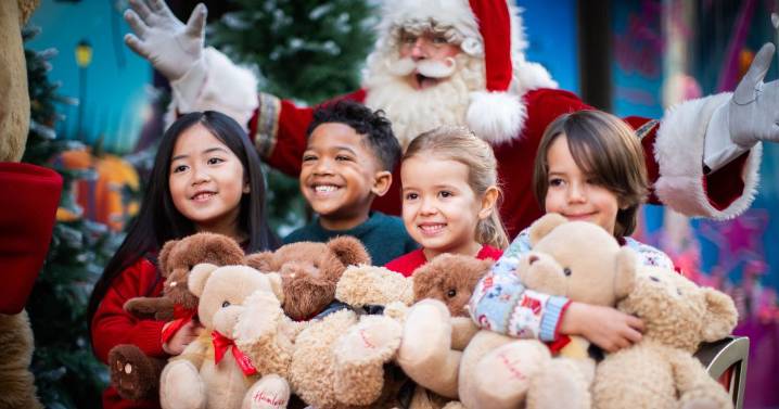 Pokemon, Star Wars and DeLorean advent calendars hit shelves as Christmas countdown nears