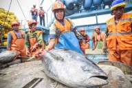 Exportaciones pesqueras y acuícolas peruanas crecen 60.5% entre enero y setiembre 2025