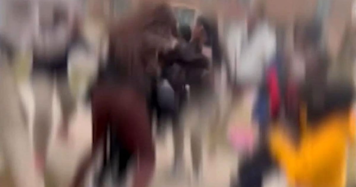 Chicago mother, child attacked by children outside school