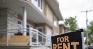 Competition Bureau says algorithmic rent pricing a concern, but not widespread