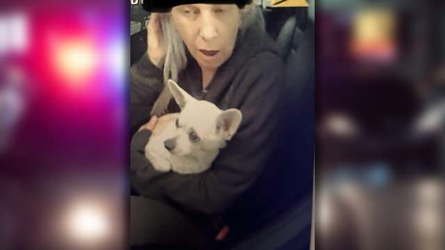 Search underway after woman slips from custody during arrest in Greenville