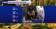 Halloween is not over when it comes to our dog walking forecast!