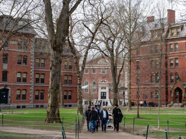 Who will stop our kids from getting dumber?: Selley