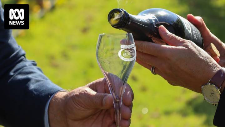 EU 'optimistic' about breakthrough in free trade agreement negotiations with Australia