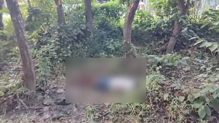 Boko Forest-oniko mande saksani manggisiko man·a