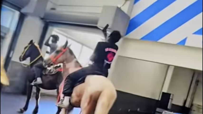 Video shows horses with riders going through Abbeville Walmart