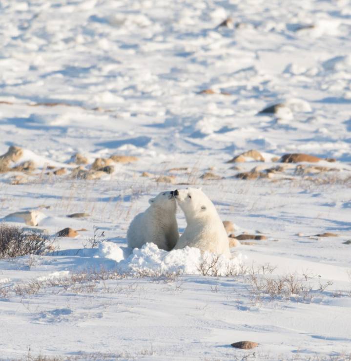 Discovery wildlife: New research and animal stories you need to know