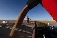 Impacto. La soja alcanzó en el mercado internacional su valor más alto en 17 meses