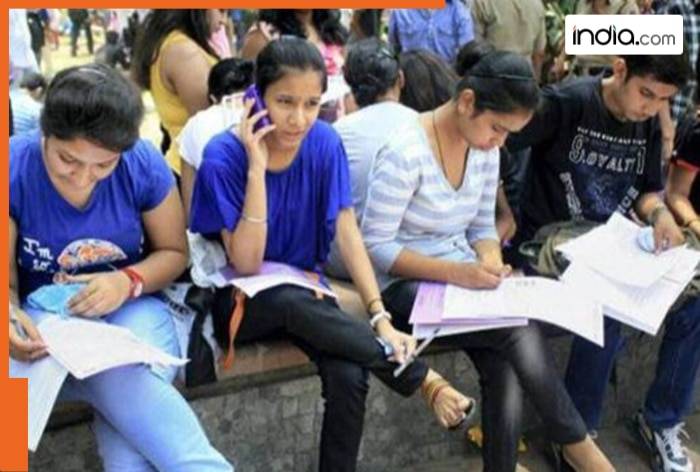 IBPS Clerk Prelims RESULTS OUT: Direct Result Link Here, step by step guide