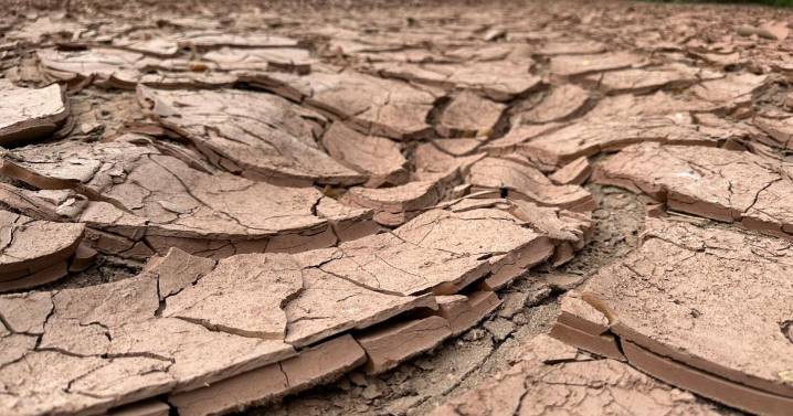 A drying-up Rio Grande basin threatens water security on both sides of the border