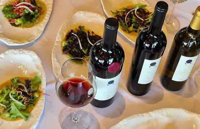 Invitan a probar gastronomía elaborada con insectos