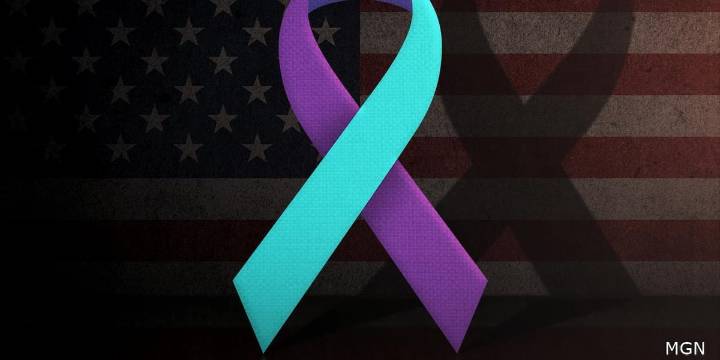 Veterans, families gather in Lansing to raise awareness for suicide prevention
