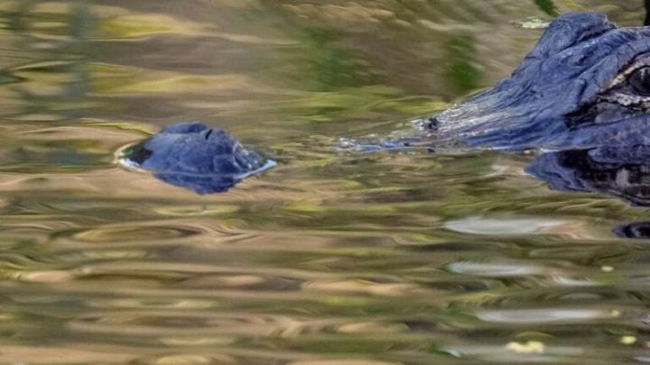 Take the Greater Boston news quiz, Nov. 14, 2025