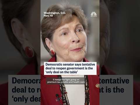 Democratic senator says tentative deal to reopen government is the 'only deal on the table'