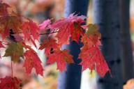 Sunny and breezy day expected in central Pa., with rain coming later