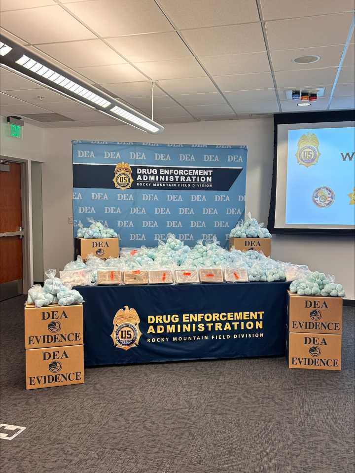 Fentanyl pills found in auctioned