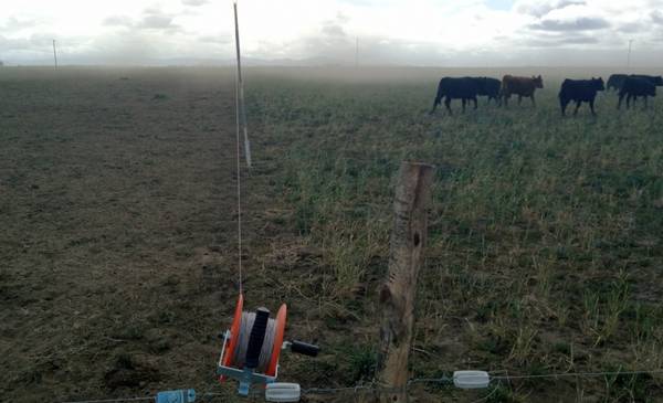 Pastoreo rotativo en el SOB: ¿cuáles son los beneficios de su aplicación?