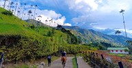 Quindío apuesta por el turismo regenerativo: proyectos piloto buscan devolver más al territorio de lo que recibe
