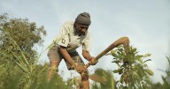 Eco India, Episode 304: What drives us to protect the environment and bring about lasting change?
