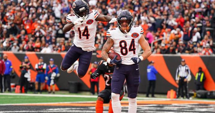 Bears see room to grow after already matching win total from last season