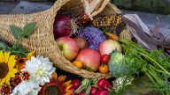 12 Tips To Decorating With A Cornucopia For Thanksgiving