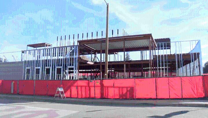 UNM releases sustainability plan action items  to reduce environmental footprint