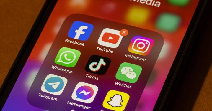 Florida can temporarily enforce law preventing children from accessing some social media platforms