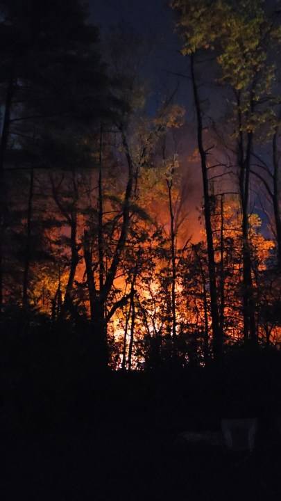 Homeowner seeks help after homeless encampment fire