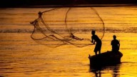 Sri Lankan Navy arrests 35 Indian fishermen