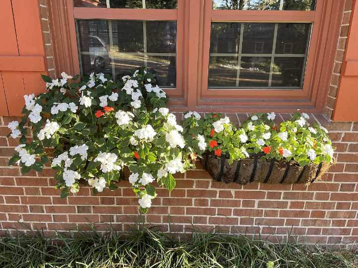 IN THE GARDEN: Two planter boxes received different treatment