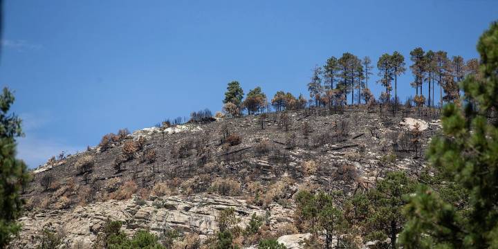 50 taken into custody after border security operation in southern Arizona