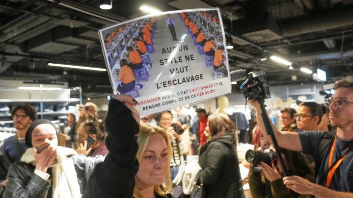 France urges EU to investigate Shein for selling illegal items including child