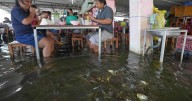 Flooded restaurant in Thailand brings delight with swimming fish among diners