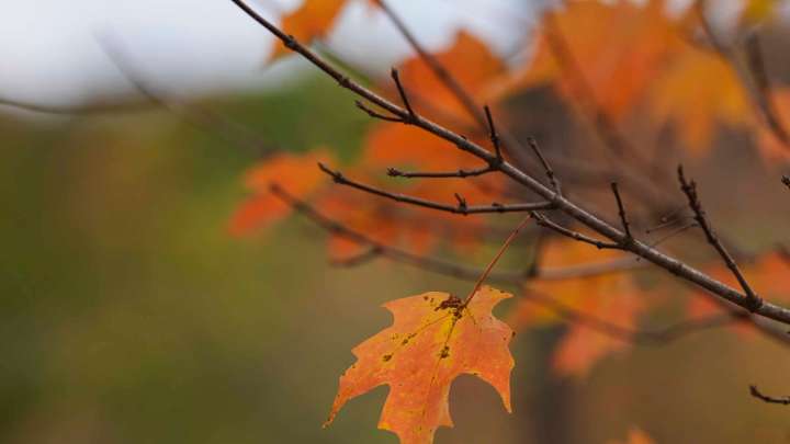 Stark County weather forecast Monday calls for breezy this afternoon