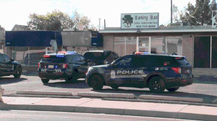 SWAT standoff leads to arrest of dog groomer in Albuquerque