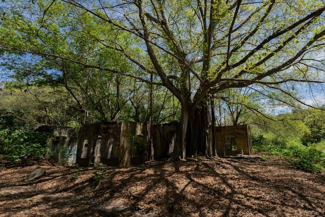 Armero, los recuerdos de la mejor amiga de Omayra y el respeto a un volcán