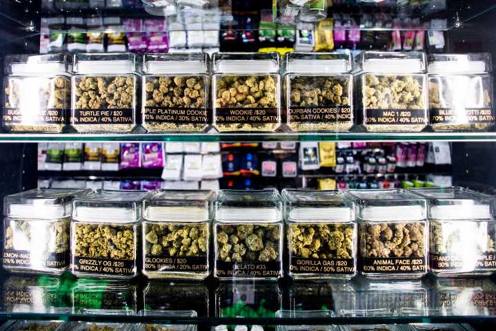 Marijuana shops asked to snitch on customers in Michigan