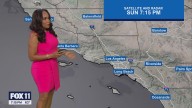 Weather Forecast: Sunday, Nov. 9