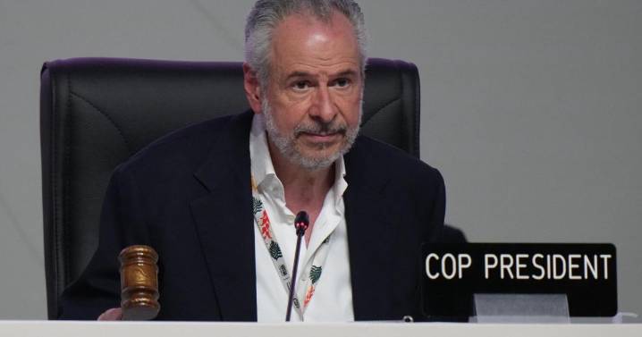 Mixed response to Cop30 ‘compromise’ as Brazil vows to press for progress