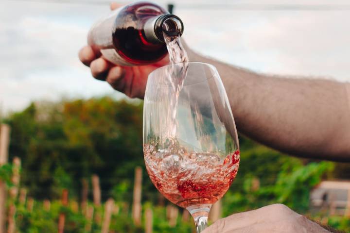 Negocio del vino. Sturzenegger viaja a Mendoza para hablar de la desregulación en la industria