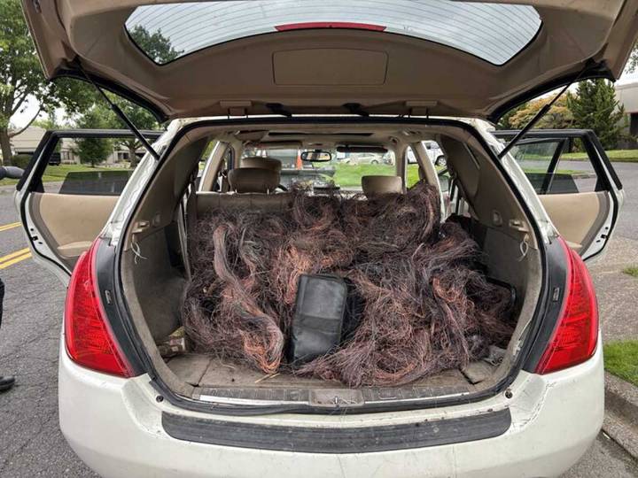 Suspects Arrested in Portland Copper Wire Thefts That Disrupted Communication Services for Months