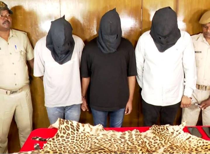 Leopard skin trading racket busted in Bhubaneswar; 3 arrested