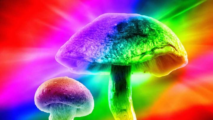 The Perils of Viewing Psilocybin Strictly As a Psychiatric Medication